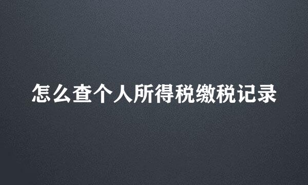 怎么查个人所得税缴税记录