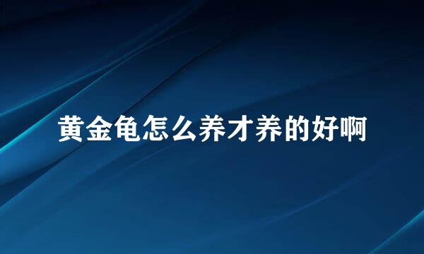 黄金龟怎么养才养的好啊