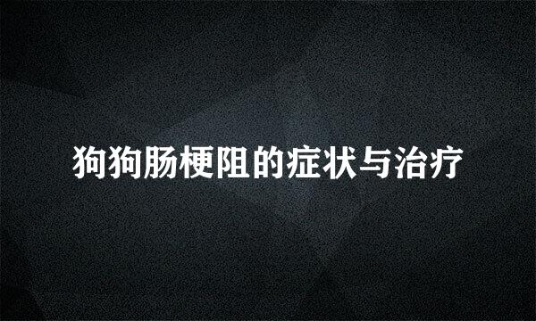 狗狗肠梗阻的症状与治疗