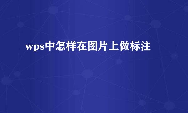 wps中怎样在图片上做标注