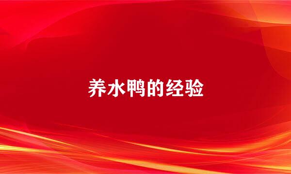 养水鸭的经验