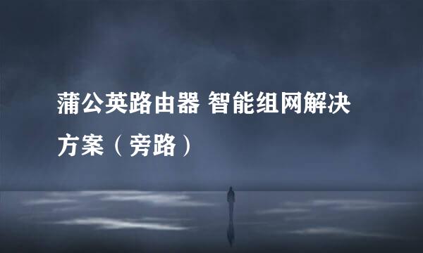 蒲公英路由器 智能组网解决方案（旁路）