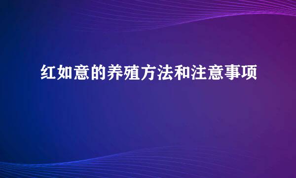 红如意的养殖方法和注意事项
