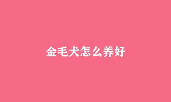 金毛犬怎么养好