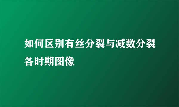 如何区别有丝分裂与减数分裂各时期图像