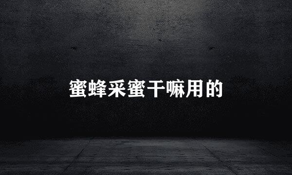 蜜蜂采蜜干嘛用的