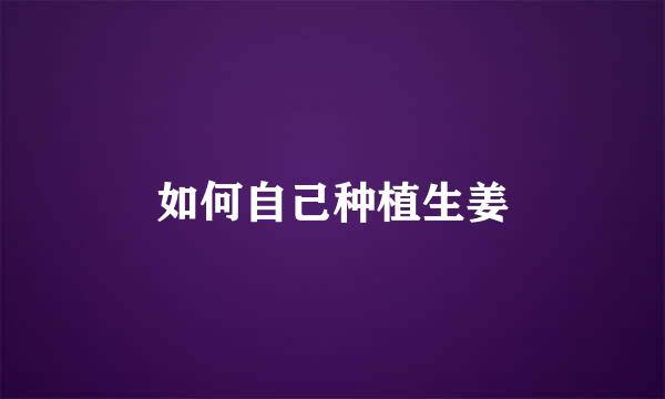 如何自己种植生姜