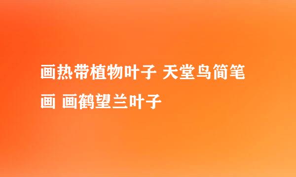 画热带植物叶子 天堂鸟简笔画 画鹤望兰叶子