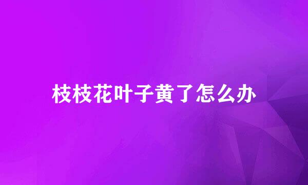枝枝花叶子黄了怎么办