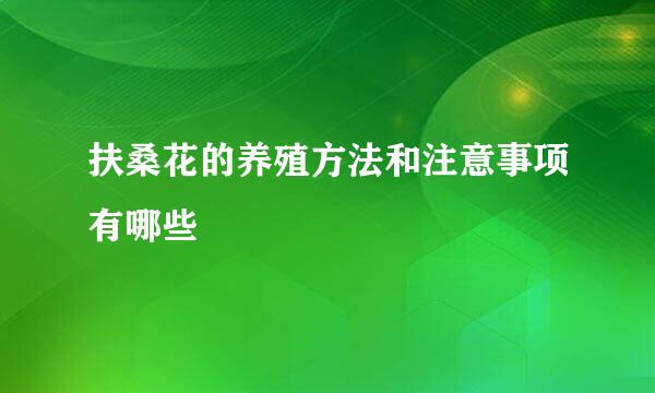 扶桑花的养殖方法和注意事项有哪些