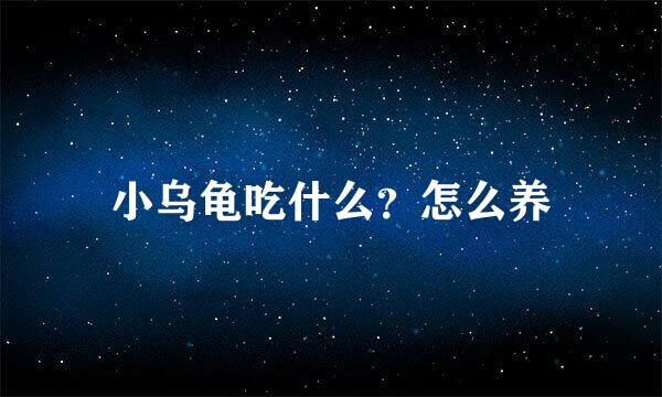 小乌龟吃什么？怎么养