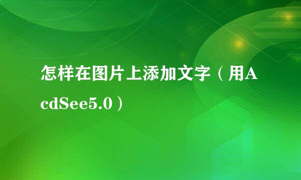 怎样在图片上添加文字（用AcdSee5.0）