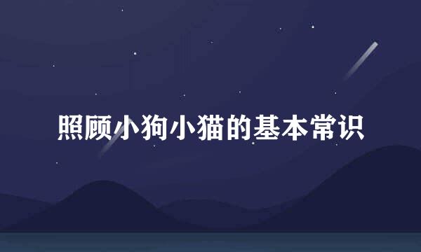 照顾小狗小猫的基本常识
