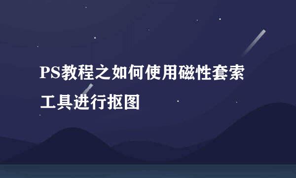 PS教程之如何使用磁性套索工具进行抠图