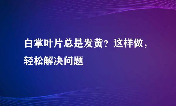 白掌叶片总是发黄？这样做，轻松解决问题