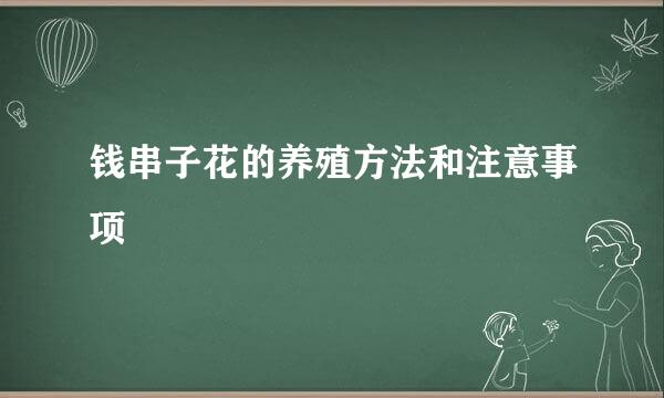 钱串子花的养殖方法和注意事项