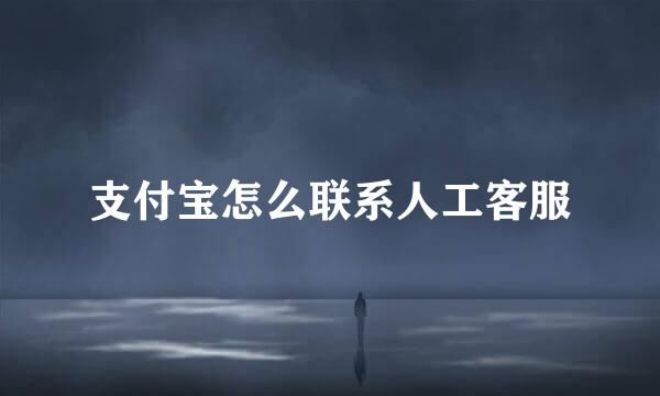支付宝怎么联系人工客服