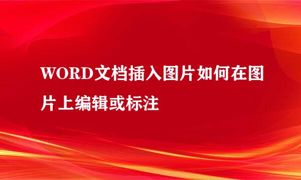 WORD文档插入图片如何在图片上编辑或标注
