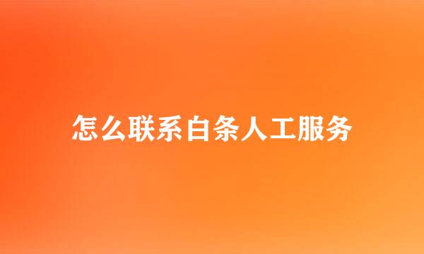 怎么联系白条人工服务