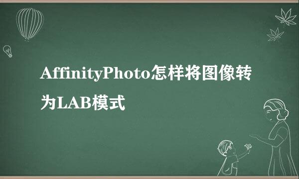 AffinityPhoto怎样将图像转为LAB模式