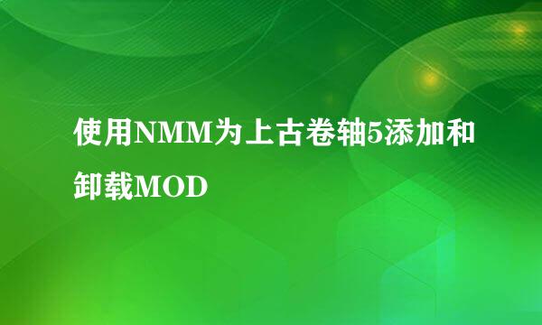 使用NMM为上古卷轴5添加和卸载MOD