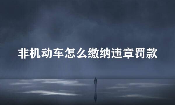 非机动车怎么缴纳违章罚款