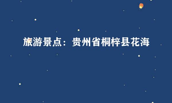 旅游景点：贵州省桐梓县花海