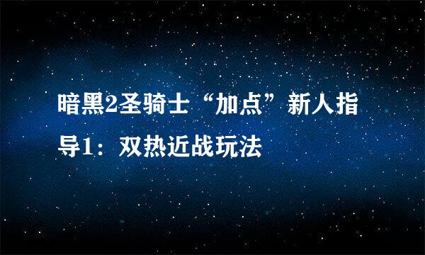 暗黑2圣骑士“加点”新人指导1：双热近战玩法