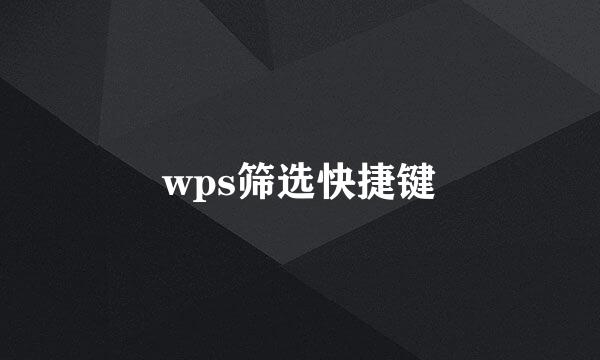 wps筛选快捷键