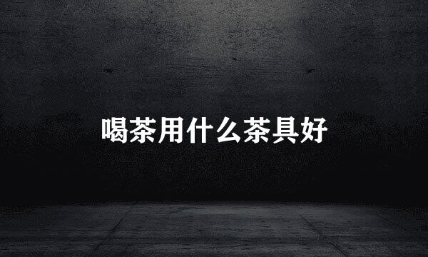 喝茶用什么茶具好