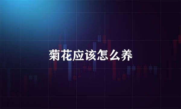 菊花应该怎么养