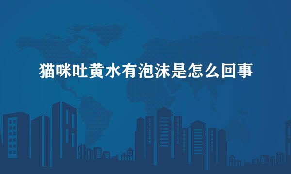 猫咪吐黄水有泡沫是怎么回事