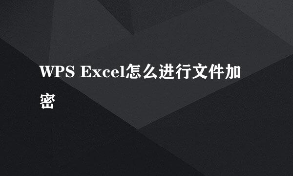 WPS Excel怎么进行文件加密