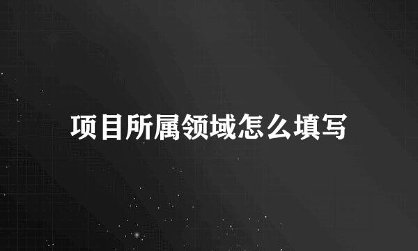 项目所属领域怎么填写