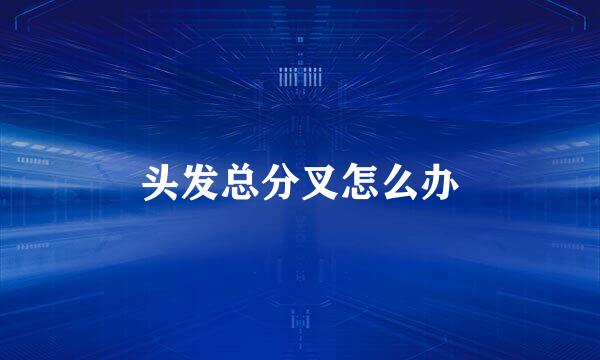 头发总分叉怎么办