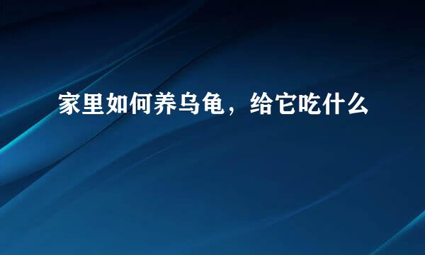 家里如何养乌龟，给它吃什么