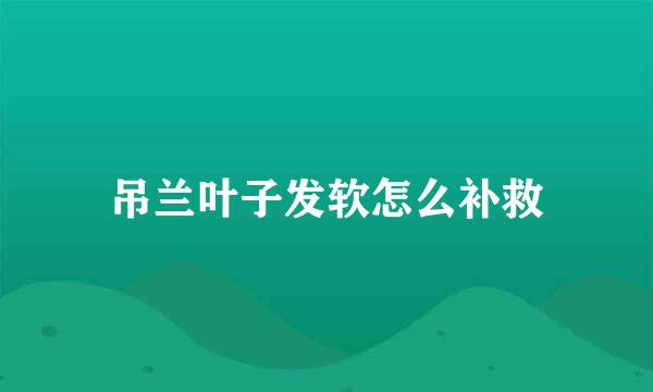 吊兰叶子发软怎么补救