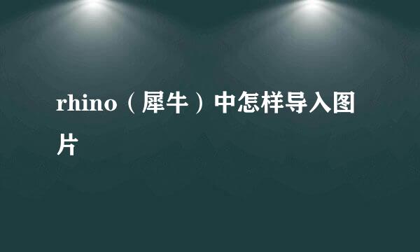 rhino（犀牛）中怎样导入图片