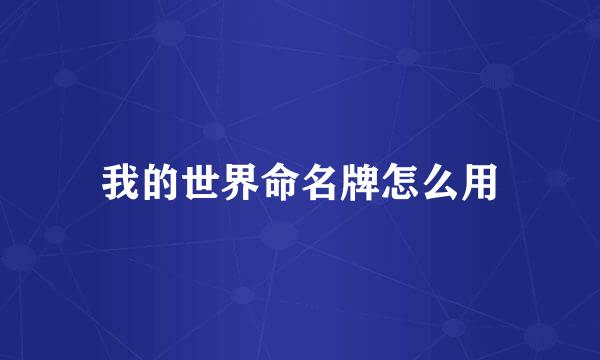 我的世界命名牌怎么用