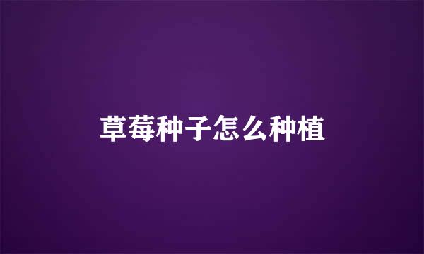 草莓种子怎么种植