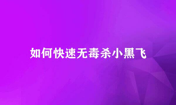 如何快速无毒杀小黑飞