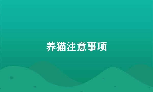养猫注意事项