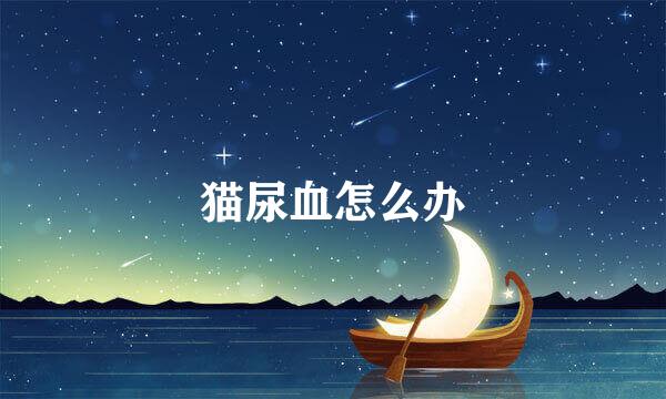 猫尿血怎么办