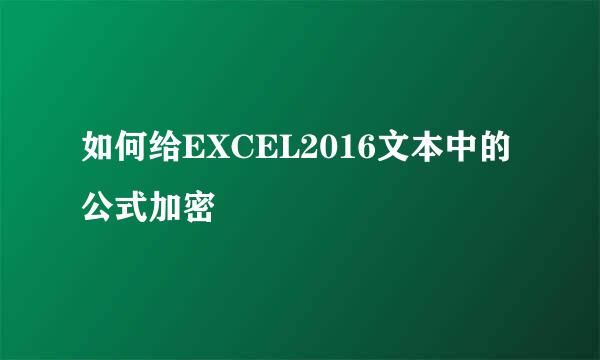 如何给EXCEL2016文本中的公式加密