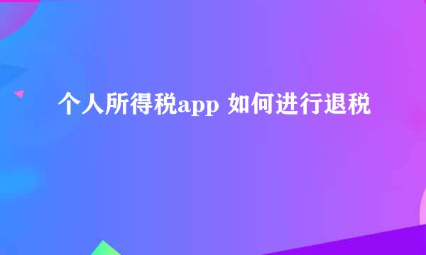 个人所得税app 如何进行退税