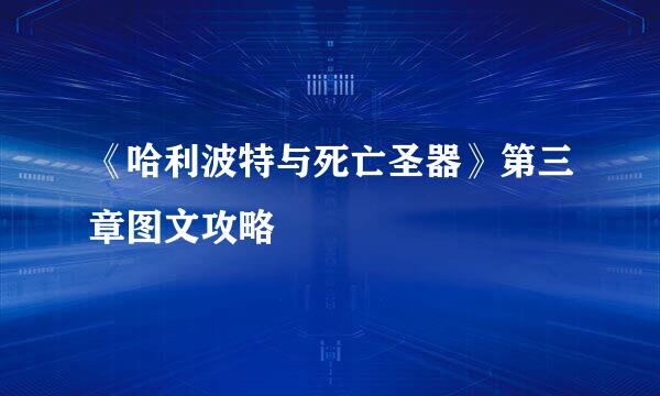 《哈利波特与死亡圣器》第三章图文攻略