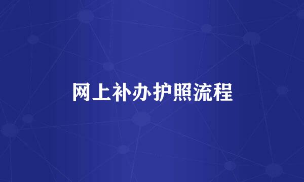 网上补办护照流程