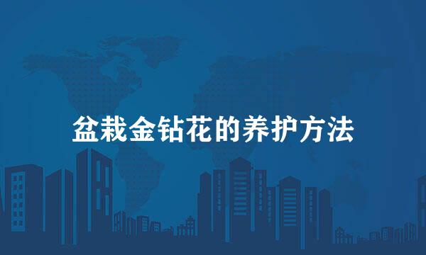 盆栽金钻花的养护方法