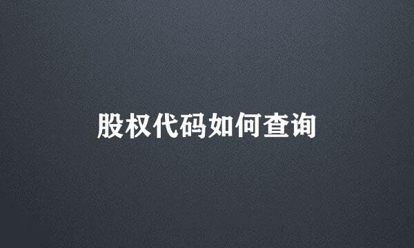 股权代码如何查询