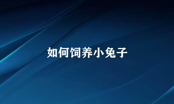 如何饲养小兔子